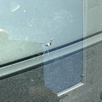 Cooper's Windshield Repair - Initial crack - Auto Glass Services Near Me - Lakewood, California