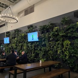 Plant Wall - The image shows an indoor dining space with a modern design, including a large green plant wall with various potted plants arranged on a black grid. There are wooden tables and benches, with several people seated and engaged in conversation. The ceiling has exposed ductwork and large circular hanging light fixtures. Two small screens display animated figures, and the overall atmosphere is contemporary and open.
