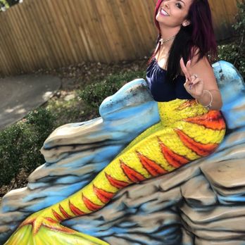 Weeki Wachee Springs - Amusement Parks Near Me - Spring Hill, Florida
