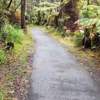 Thurston Lava Tube - The walk to the tube - Parks Near Me Thurston Lava Tube - The walk to the tube - Parks Near Me