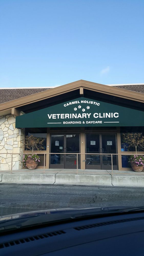 CARMEL HOLISTIC VETERINARY CLINIC Updated September 2024 44 Reviews 26340 Carmel Rancho