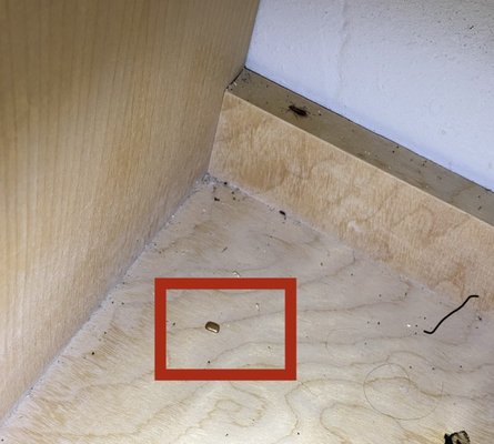 Southland Apartments