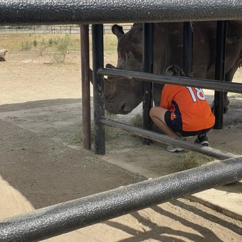 Rhinory - One of the zookeepers tending to Blake - Wineries Near Me - Fredericksburg, Texas