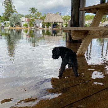 Key Largo Kampground & Marina - RV Parks Near Me - Key Largo, Florida Key Largo Kampground & Marina - RV Parks Near Me - Key Largo, Florida