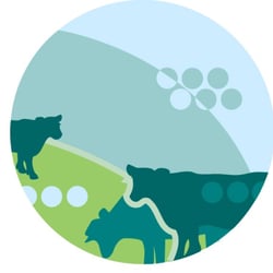 Robinson Farm - Robinson Farm Logo