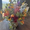 Fancy Pansy gift card