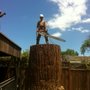 Photo of West Valley Arborists