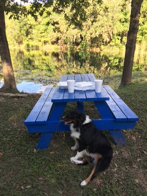RV Park features - Canyon Cove RV park is located at the north east corner of Canyon Lake. We have 2 ponds and lots of beautiful large live oaks. We offer RV spaces starting at $485.00 and more private, larger lots run between $550.00 and $725.00 monthly. All rents include water, electric, septic, wifi, mail service, and trash service. All this is located in a gated, peaceful, family oriented community. RV Park features - Canyon Cove RV park is located at the north east corner of Canyon Lake. We have 2 ponds and lots of beautiful large live oaks. We offer RV spaces starting at $485.00 and more private, larger lots run between $550.00 and $725.00 monthly. All rents include water, electric, septic, wifi, mail service, and trash service. All this is located in a gated, peaceful, family oriented community.