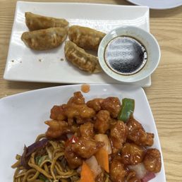 chicken potstickers chicken potstickers