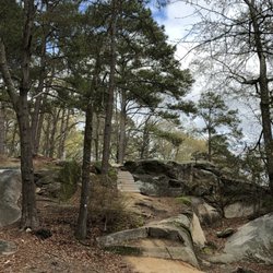 Battle Park - Beautiful mix of rocks and pine trees!