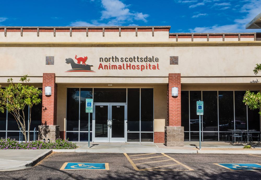 NORTH SCOTTSDALE ANIMAL HOSPITAL 11 Photos & 58 Reviews