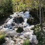 Photo of Big Hill Springs Provincial Park