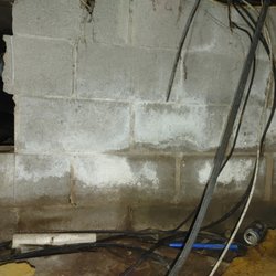 Midwest mold pros - Moldy brick in crawl space