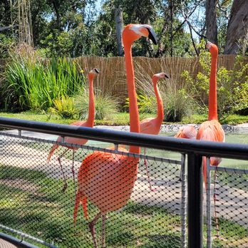 Urban Jungle - Zoos Near Me - San Diego, California