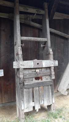 Black Forest Open Air Museum by null