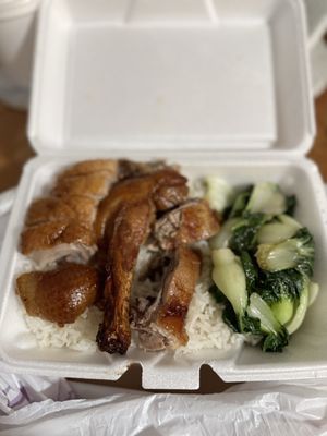 Yummy Yummy Noodles by null