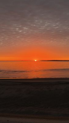 Greenwich Point Park by null