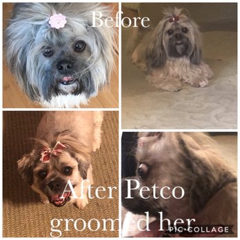 Petco - Pet Stores Near Me - Lenexa, Kansas Petco - Pet Stores Near Me - Lenexa, Kansas