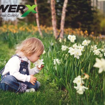 PowerX - Spring time! - Pest Control Near Me - Miami, Florida