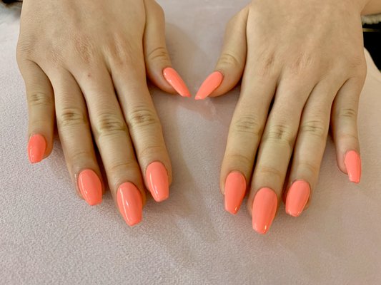 Schedule Your Appointment Today! - We are committed to providing the best products that not only protect and nourish your nails and skin but also are environmentally sustainable. Call today to schedule your appointments! Schedule Your Appointment Today! - We are committed to providing the best products that not only protect and nourish your nails and skin but also are environmentally sustainable. Call today to schedule your appointments!