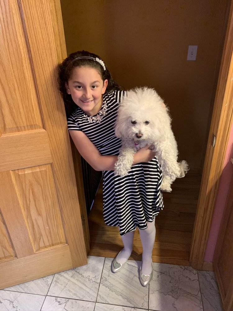 POM POM GROOMING Updated June 2024 23 Photos & 21 Reviews 4248