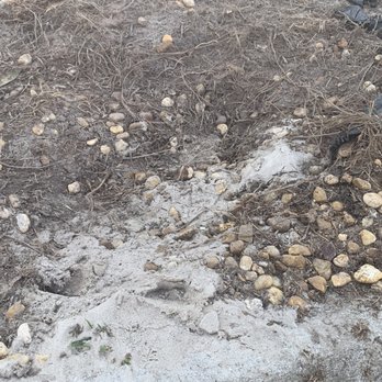Triple D Services - Damaged Rocks - Tree Services Near Me - Umatilla, Florida