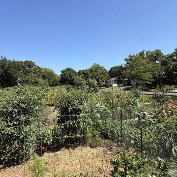 Elvehjem Sanctuary - Community garden - Hiking Near Me - Madison, Wisconsin Elvehjem Sanctuary - Community garden - Hiking Near Me - Madison, Wisconsin