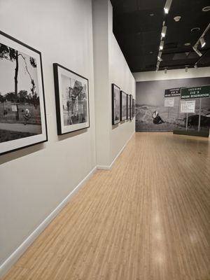 George Eastman Museum by null