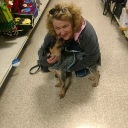 When we adopted this pup from Austrailian Cattle Dog meet and Great! This location