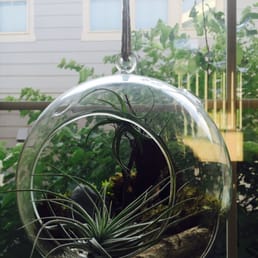 One of our custom made planters by Lucas hanging in our home. One of our custom made planters by Lucas hanging in our home.