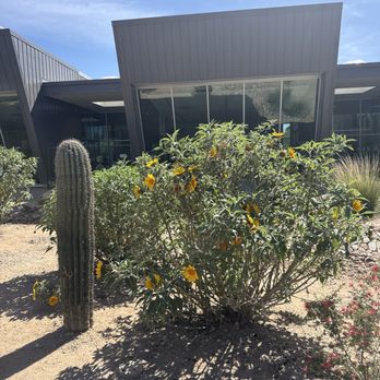 Martha Cooper Branch Library - Libraries Near Me - Tucson, Arizona Martha Cooper Branch Library - Libraries Near Me - Tucson, Arizona
