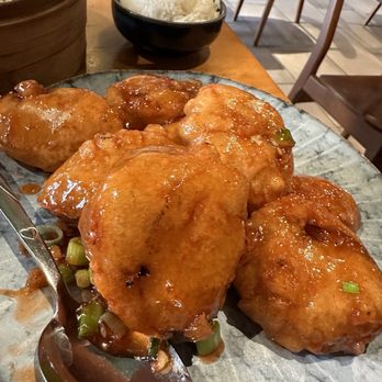 Han Palace - The crispy eggplant and vegetable/chicken dim sum were delicious. - Dim Sum Near Me - Washington, DC, District of Columbia