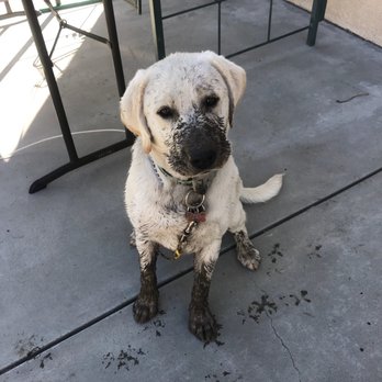 Aurantia Dog Park - Dog Parks Near Me - Highland, California