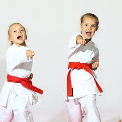Simkin's Martial Arts - Amazing kids classes