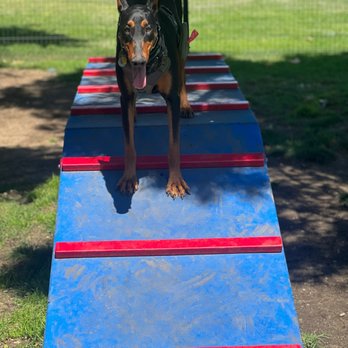 James B. Bryant Dog Park - Dog Parks Near Me - Ontario, California