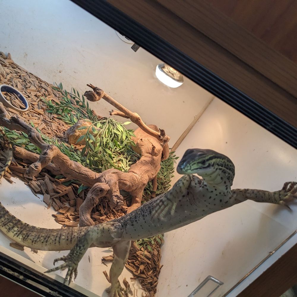 Burbank Scales N Tails - Pet Stores Near Me - Burbank, California Burbank Scales N Tails - Pet Stores Near Me - Burbank, California