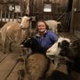 Photo of No Regrets Farm & Sanctuary