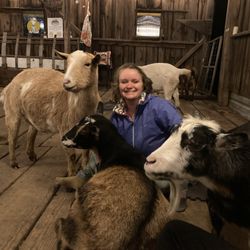 No Regrets Farm & Sanctuary