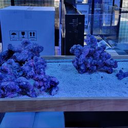 Ocean Aquatics