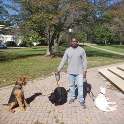 Behavior And Dog Training - Lovely Day..