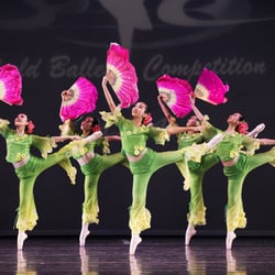 Atlanta Professional Dance Academy