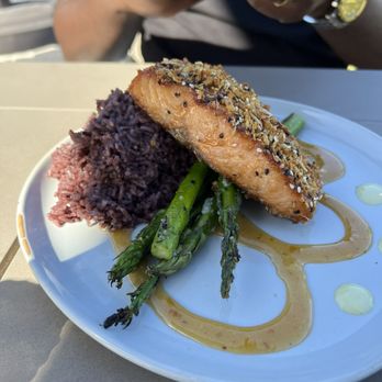 Pine & Oak Tavern - Herb crusted salmon *it has almonds - New American Near Me - Orlando, Florida Pine & Oak Tavern - Herb crusted salmon *it has almonds - New American Near Me - Orlando, Florida