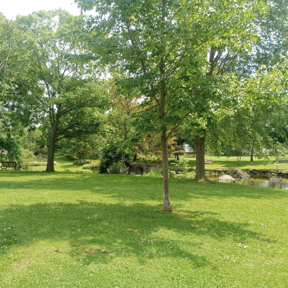 Stewart Park - Great place for a picnic - Parks Near Me - Perth, Ontario