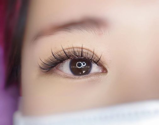 MissCat Eyelash by null