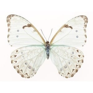 María With An Accent - grief counselor in Wilmington, DE