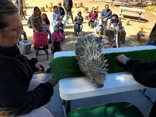 Abilene Zoo by null