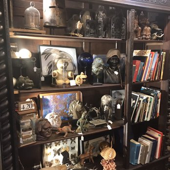 Oddities and Antiques - Bookshelf with strange things - Antiques Near Me - Clearwater, Florida Oddities and Antiques - Bookshelf with strange things - Antiques Near Me - Clearwater, Florida