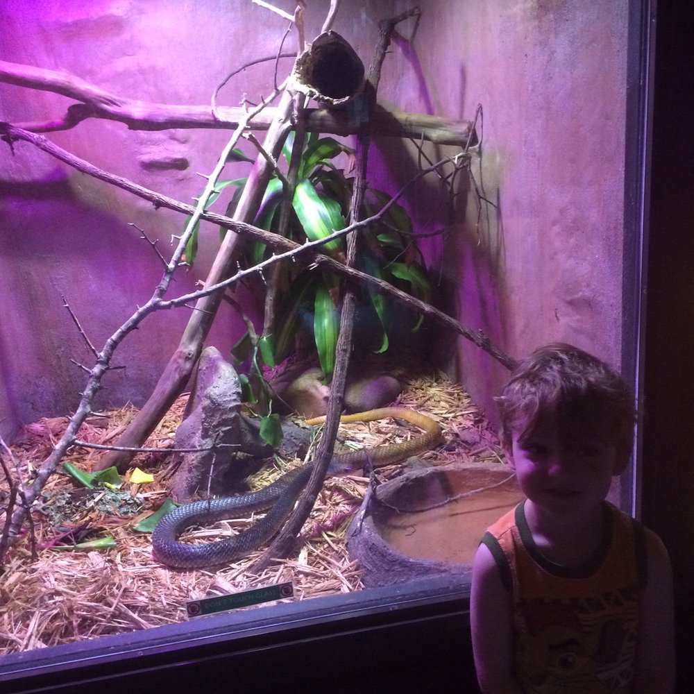 Texas Reptile Zoo - Zoos Near Me - Bastrop, Texas Texas Reptile Zoo - Zoos Near Me - Bastrop, Texas