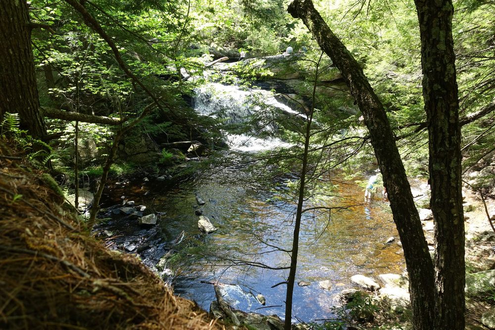 PURGATORY BROOK AND FALLS 21 Photos & 12 Reviews Hiking Mont