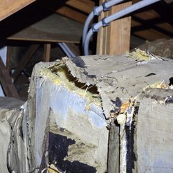 Shamrock Plumbing and Drain Cleaning